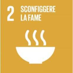 Sconfiggere la fame 