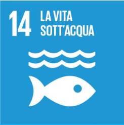 14-Vita sott acqua 