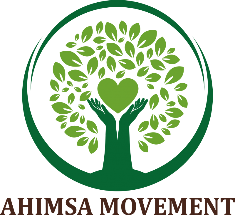 Avviamento dell'Associazione Ahimsa Movement