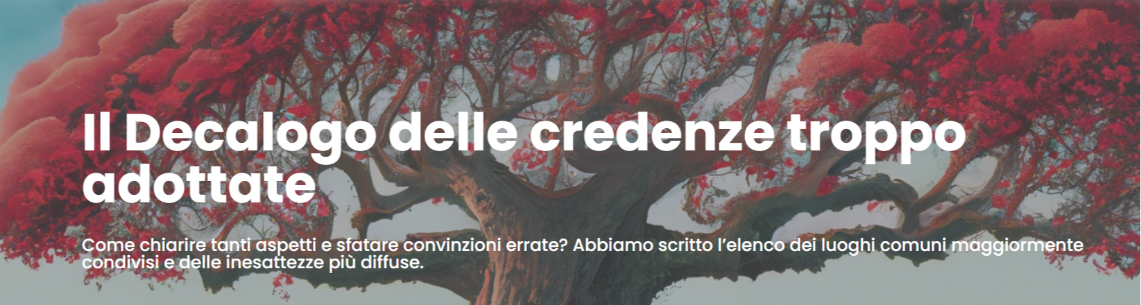 Ti piace la comunicazione? Aiuta la nostra associazione.
