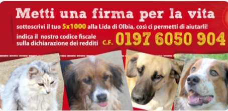LIDA SEZIONE OLBIA