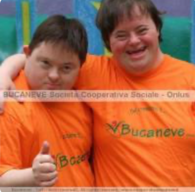 BUCANEVE SOCIETA' COOPERATIVA SOCIALE ONLUS