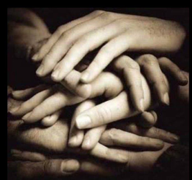 Associazione Lo Scudo Onlus