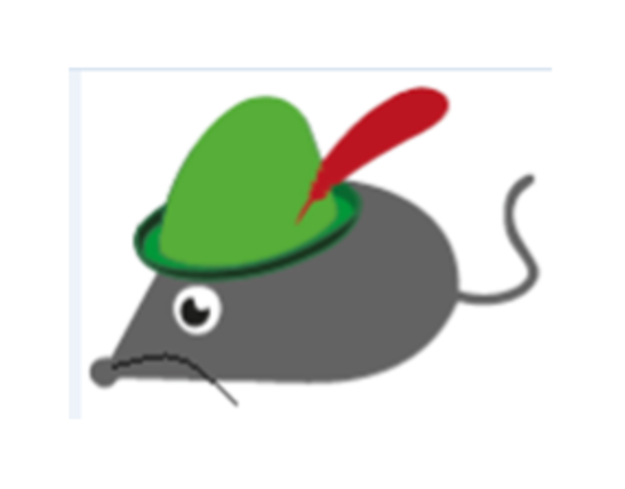 ROBIN HOOD